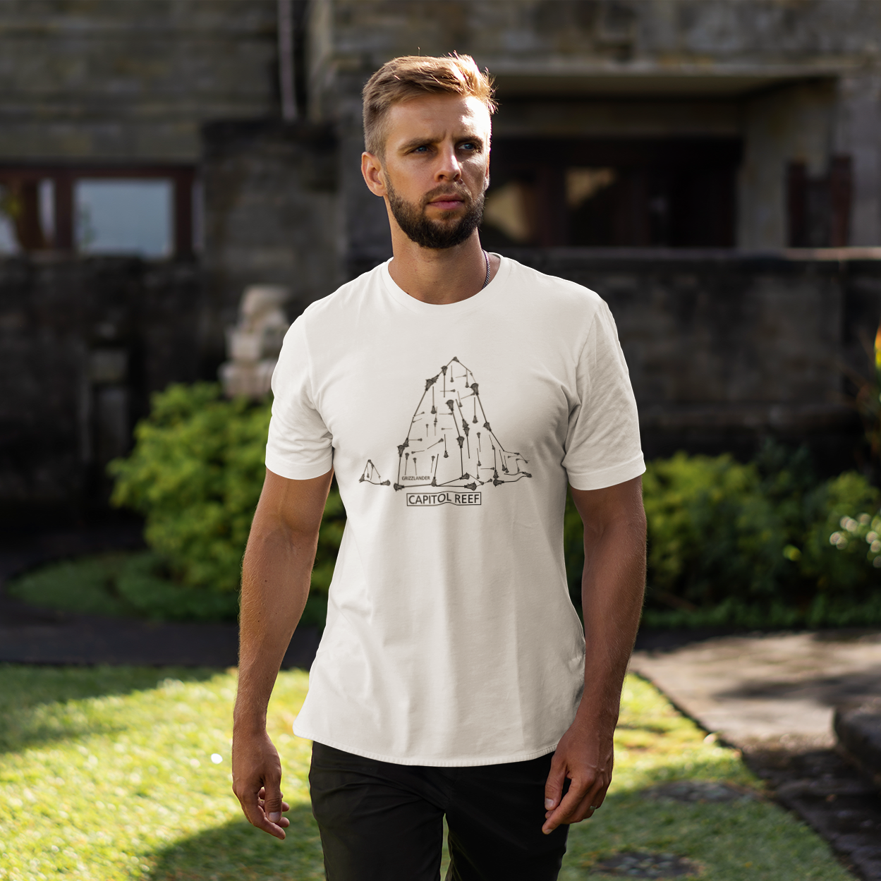 Capitol Reef Men's Tee
