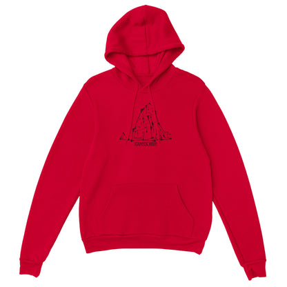 Capitol Reef Men's Hoodie