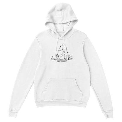 Capitol Reef Men's Hoodie